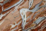 Polished Wyoming Youngite Agate/Jasper Slab - Fluorescent #152233-1